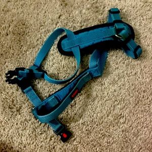 Kong Padded Harness and collar size Small and Hands free adjustable Leash